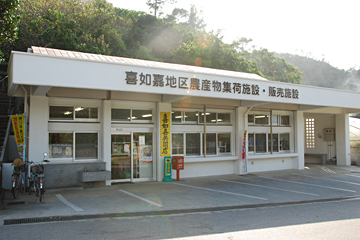 沖縄県大宜味村でハーブ・観葉植物・野菜を生産している、58ファーム(ゴヤファーム)のエネルギー高い作物の取扱店