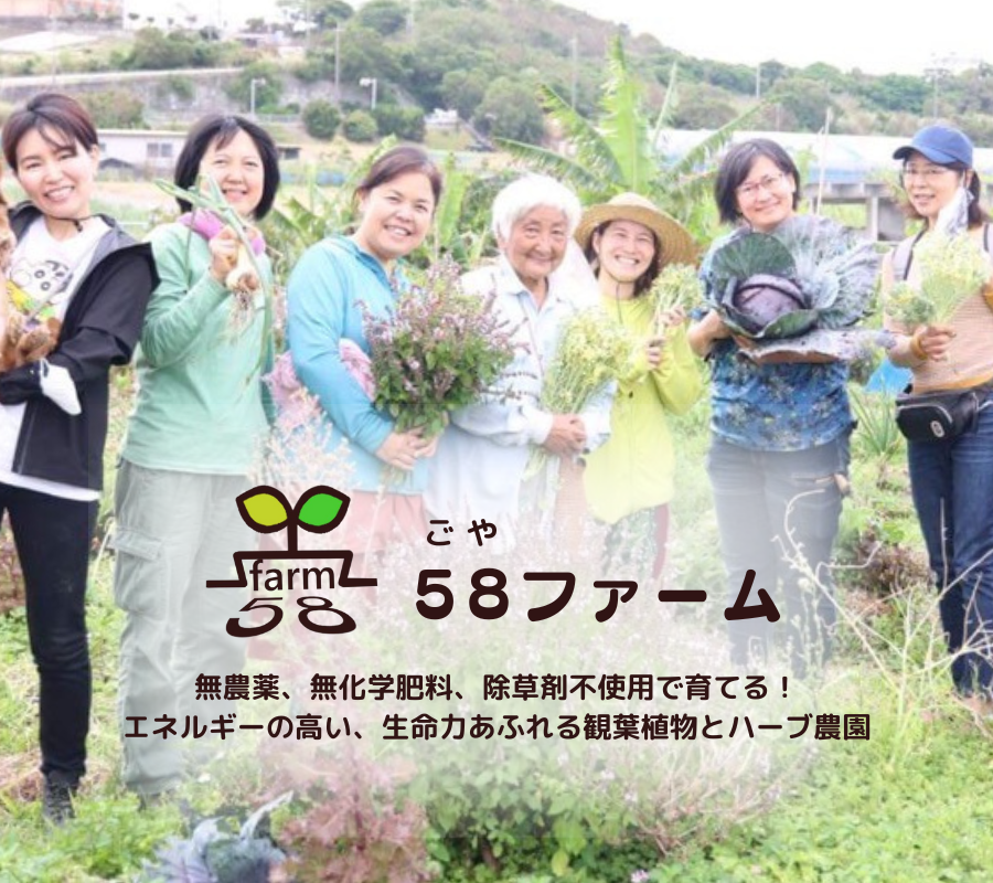 58ファーム(ゴヤファーム)｜沖縄県大宜味村でハーブ・観葉植物・野菜を生産。無農薬・無化学肥料・除草剤不使用で、生命力溢れる植物を育てています。