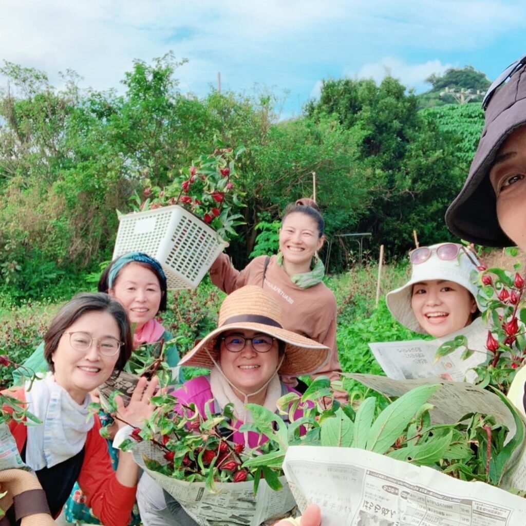 58ファーム(ごやファーム)｜沖縄県大宜味村でハーブ・観葉植物・野菜を生産。無農薬・無化学肥料・除草剤不使用で、生命力溢れる植物を育てています。